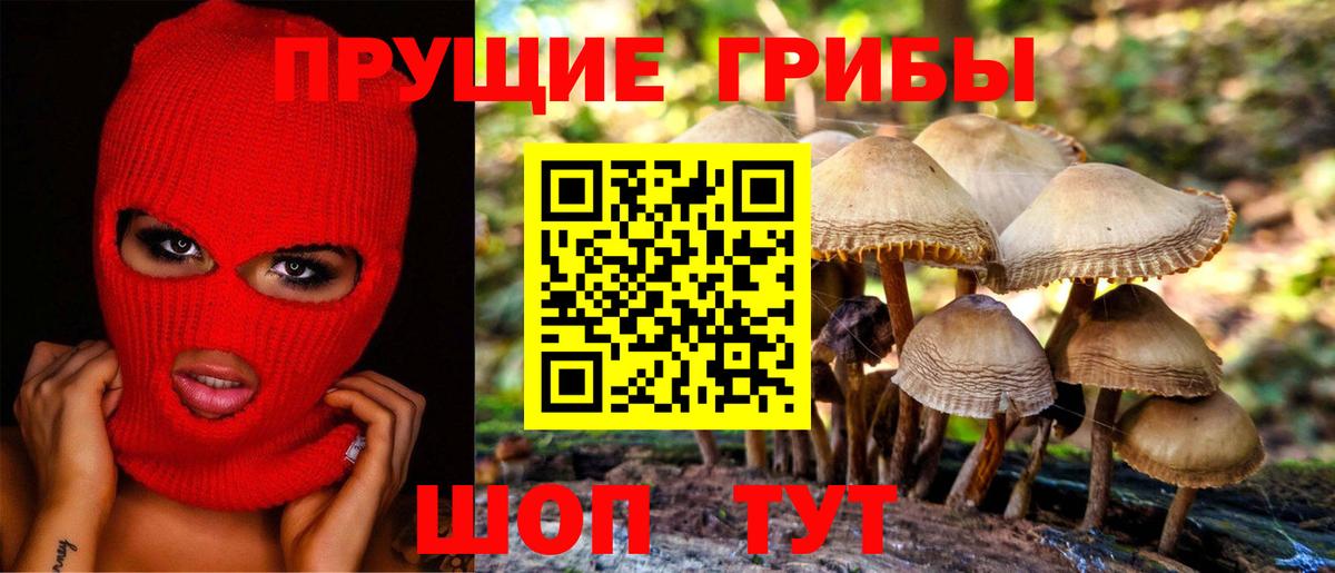 Галлюциногенные грибы мицелий Ангарск