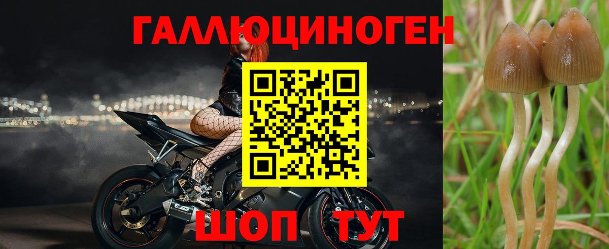 Галлюциногенные грибы ЛСД  Вход с VPN  Ангарск 